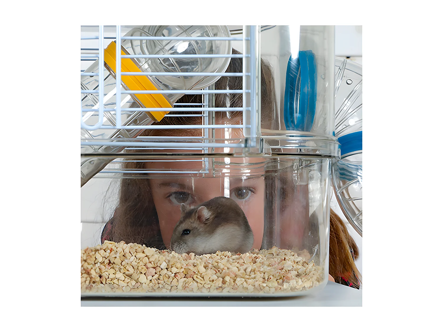 Cage pour petits rongeurs Rody 3 duo