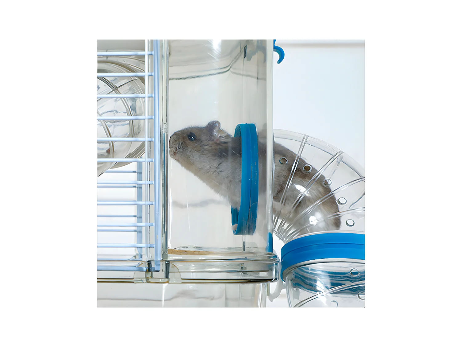 Cage pour petit rongeur Rody 3 mini