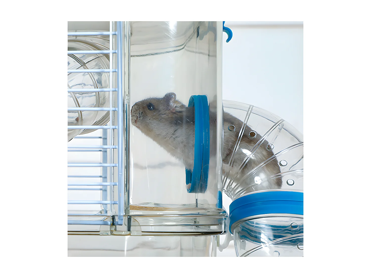 Cage pour petit rongeur Rody 3 mini