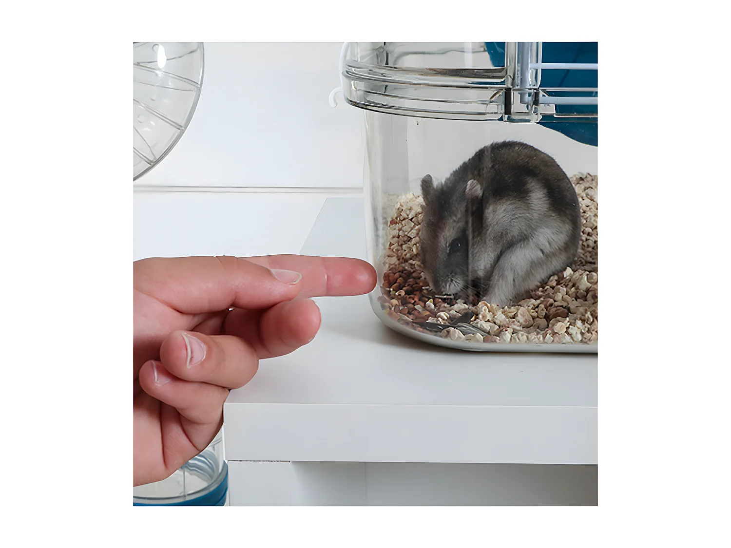 Cage pour petit rongeur Rody 3 mini