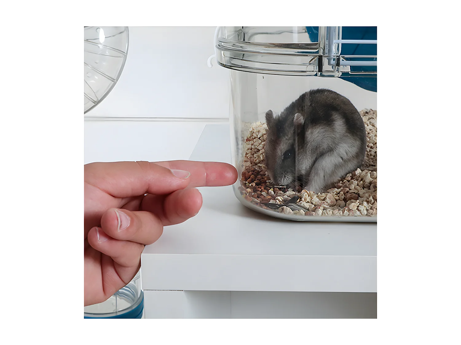 Käfig für Kleinnager Rody 3 mini