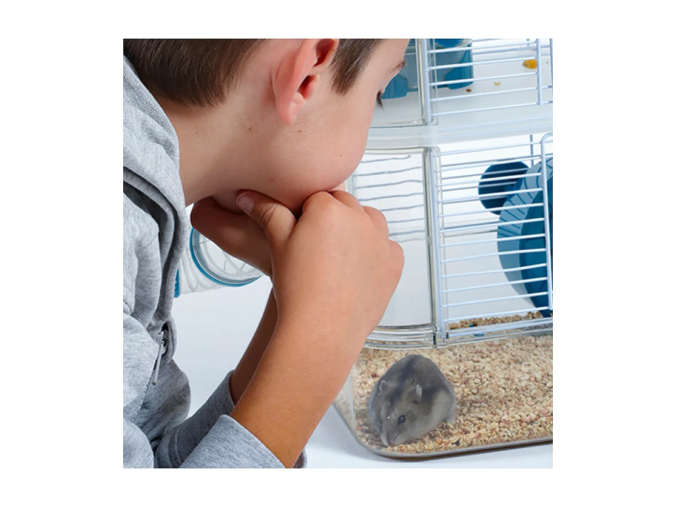 Cage pour petits rongeurs Rody 3 trio