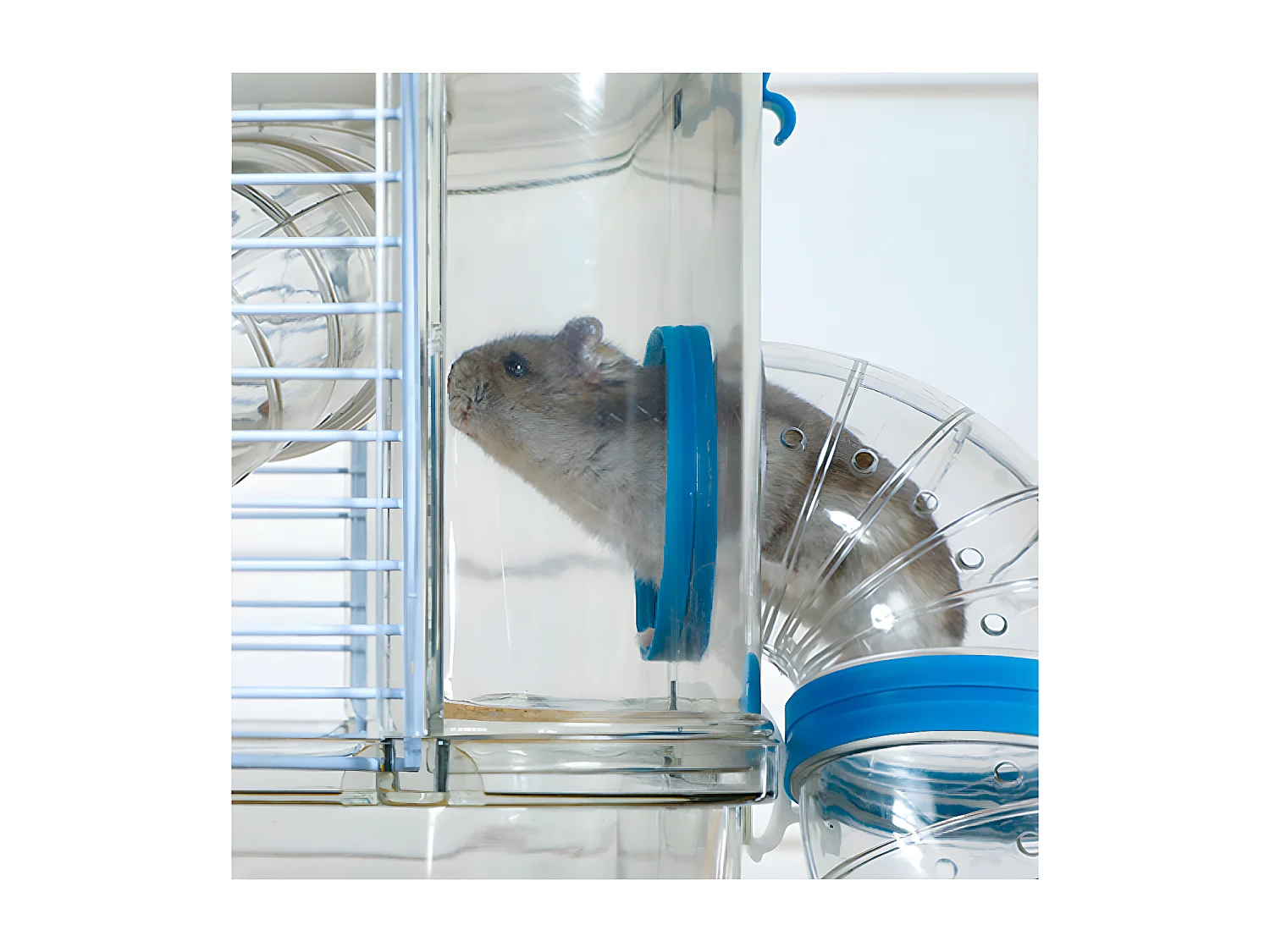 Cage pour petit rongeur Rody 3 solo