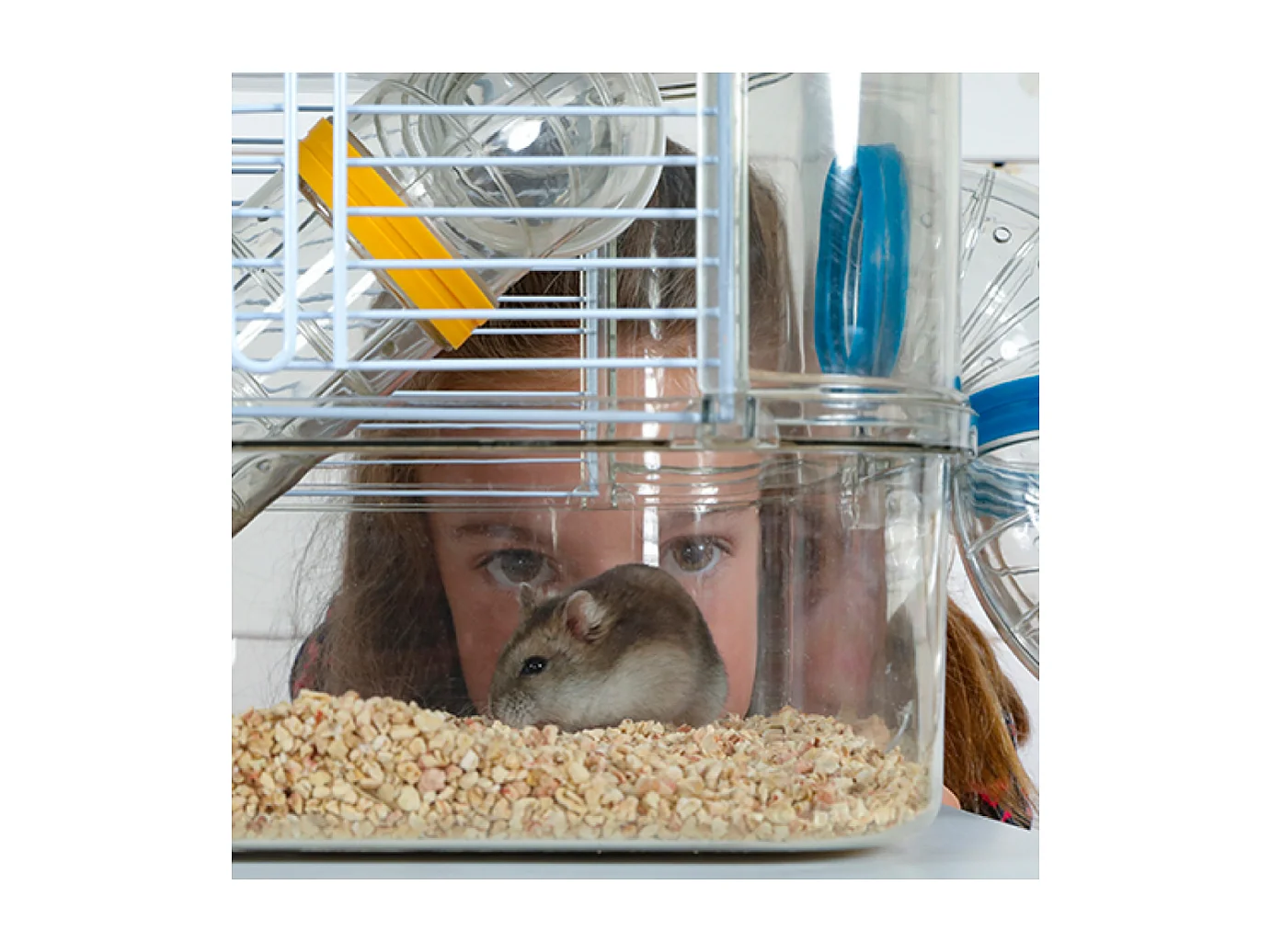 Cage pour petits rongeurs Rody 3 duo