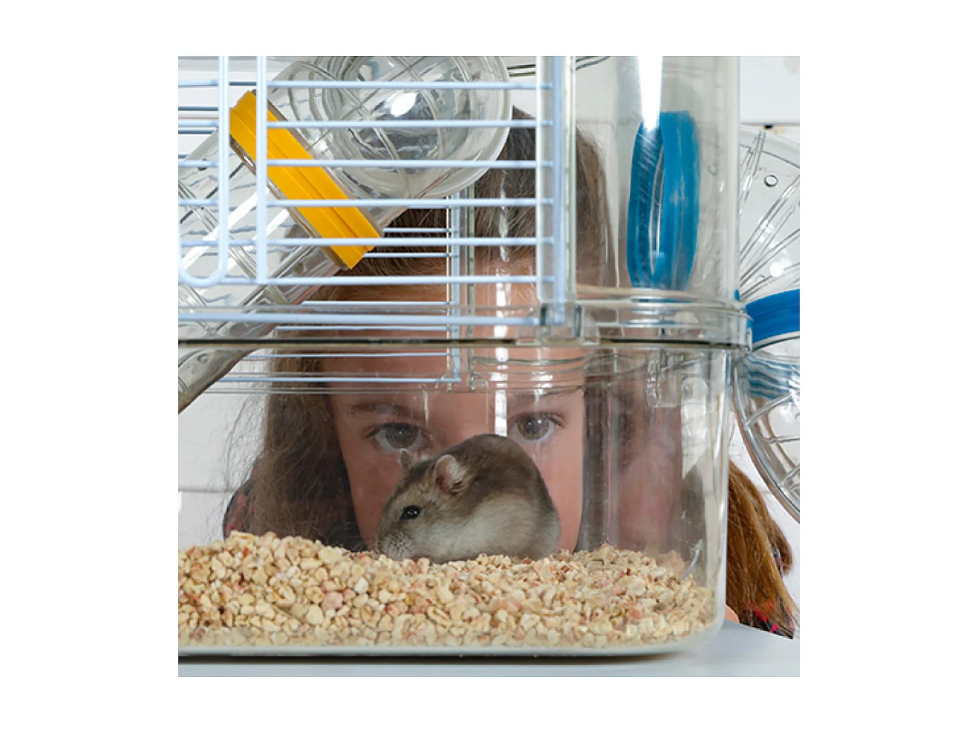 Cage pour petits rongeurs Rody 3 duo