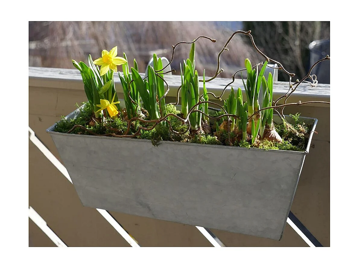 Balkonblumenkasten aus Zink zum Aufhängen