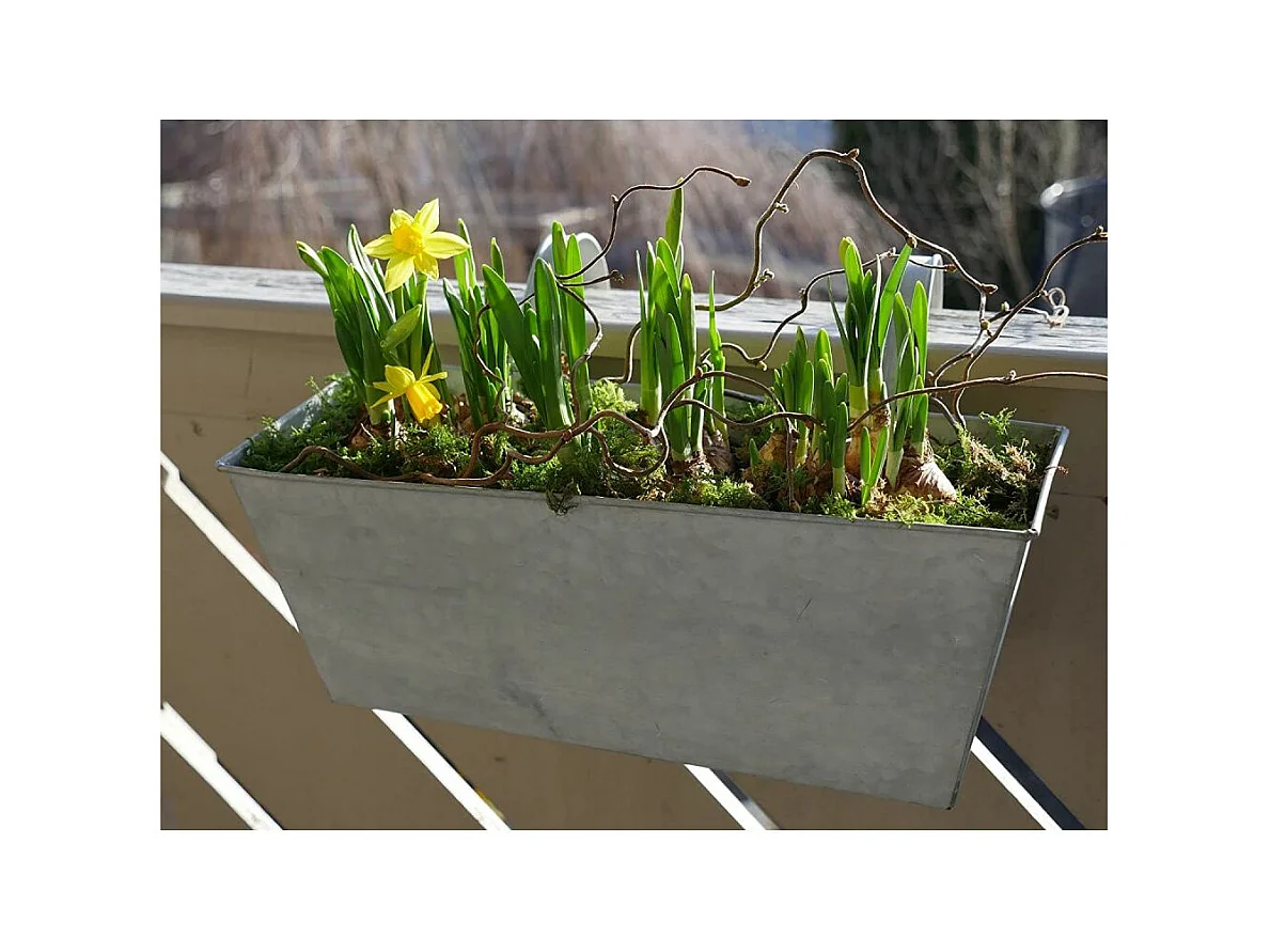 Balkonkasten aus Zink zum aufhängen