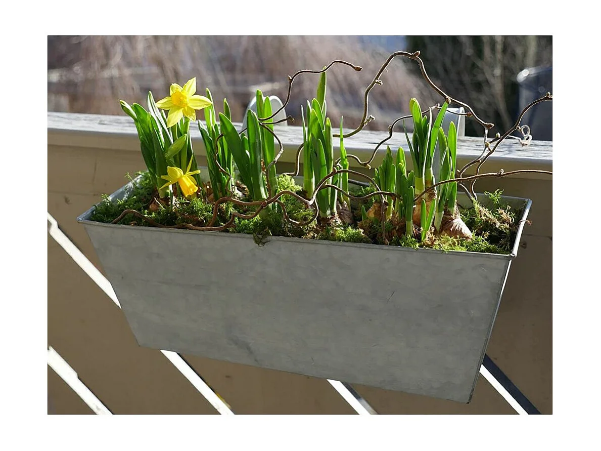 Jardinière balcon en zinc à suspendre