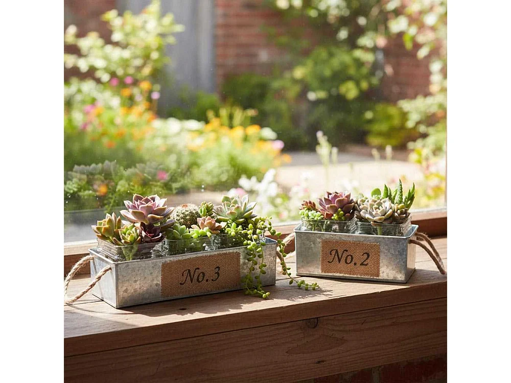 Blumenkasten aus Zink mit Töpfe aus Glas