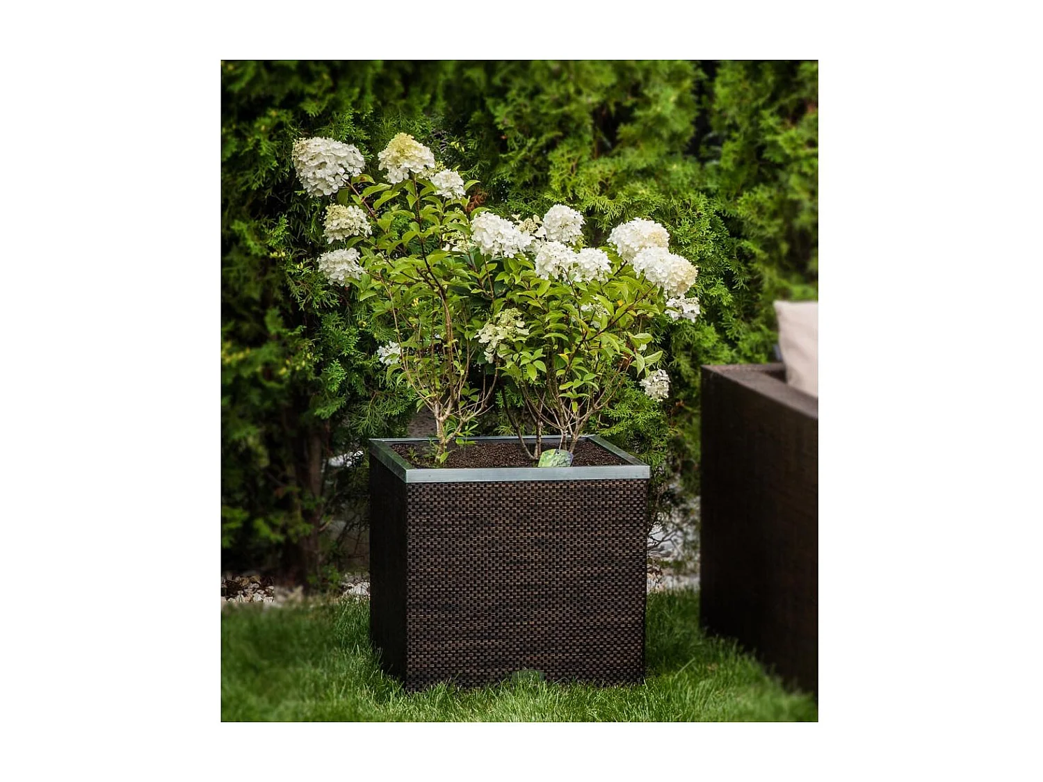 Jardinière en résine tressée avec réserve d'eau et cadre en aluminium 50 x 50 x 43 cm Marron et beige