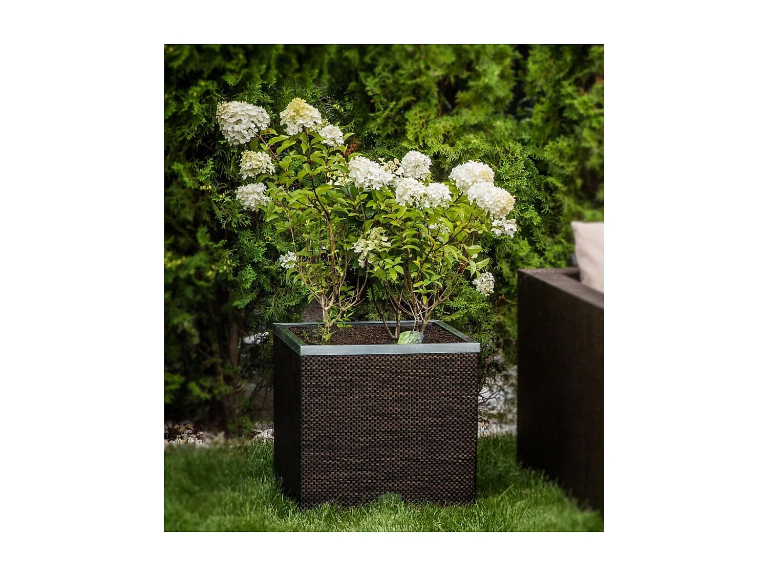 Jardinière en résine tressée avec réserve d'eau et cadre en aluminium 50 x 50 x 43 cm