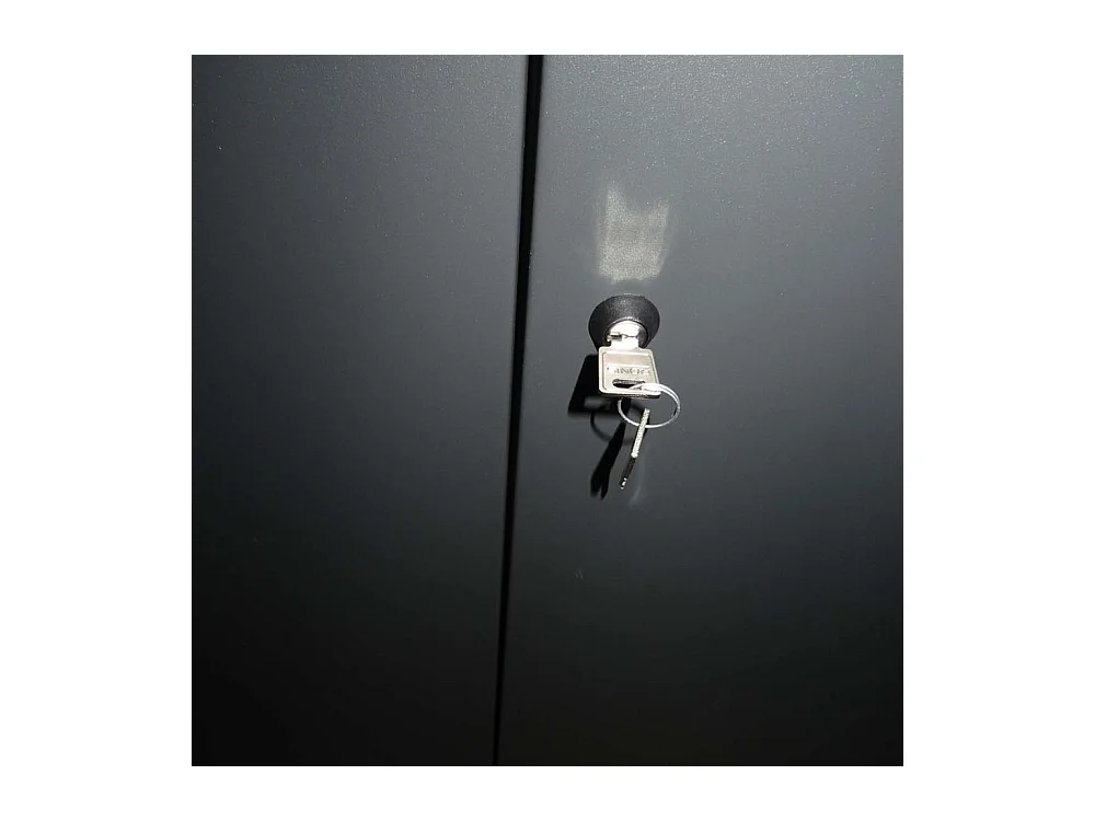 Armoire de bureau métallique anthracite 4 étagères Briko L80xH198xP41