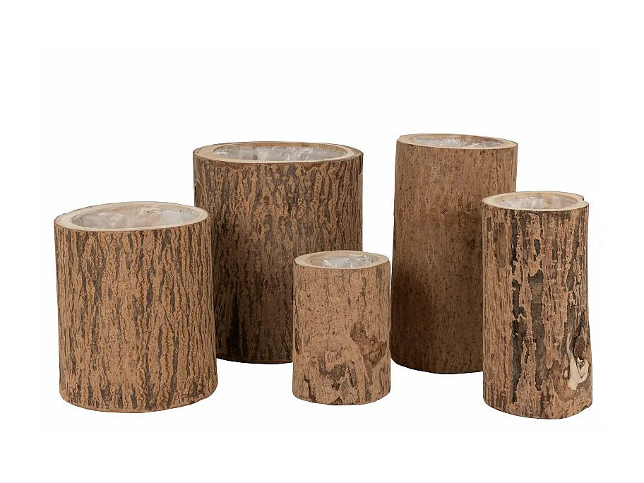 Maceta abedul madera paulonia natural Alt. 32 cm