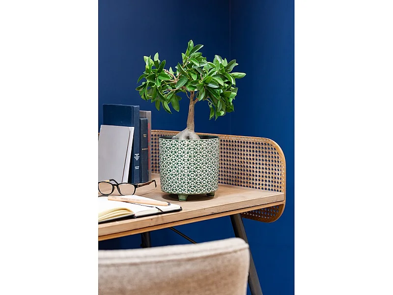 Macetero con patas de cerámica verde de 16x16x16 cm