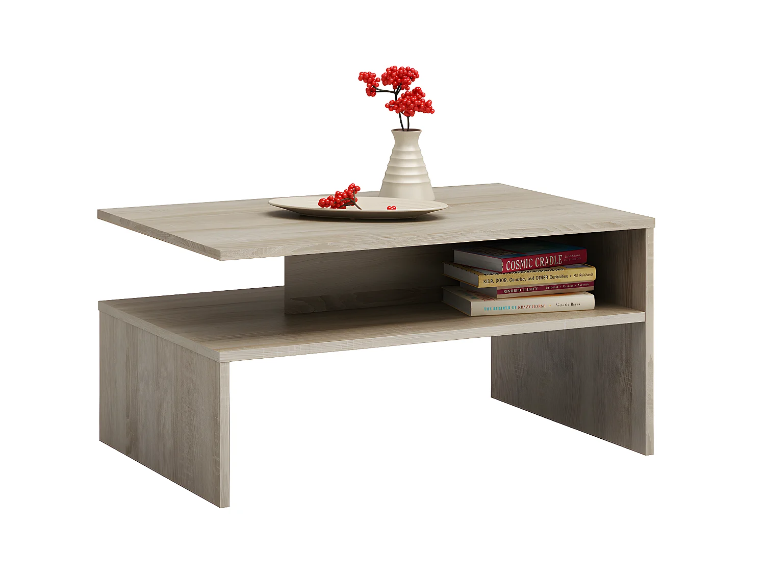 ELARA | Mesa de centro contemporánea 90x60x45 salón/oficina/salón | Mesa de estilo moderno + Nicho de almacenamiento para revistas/mandos a distancia