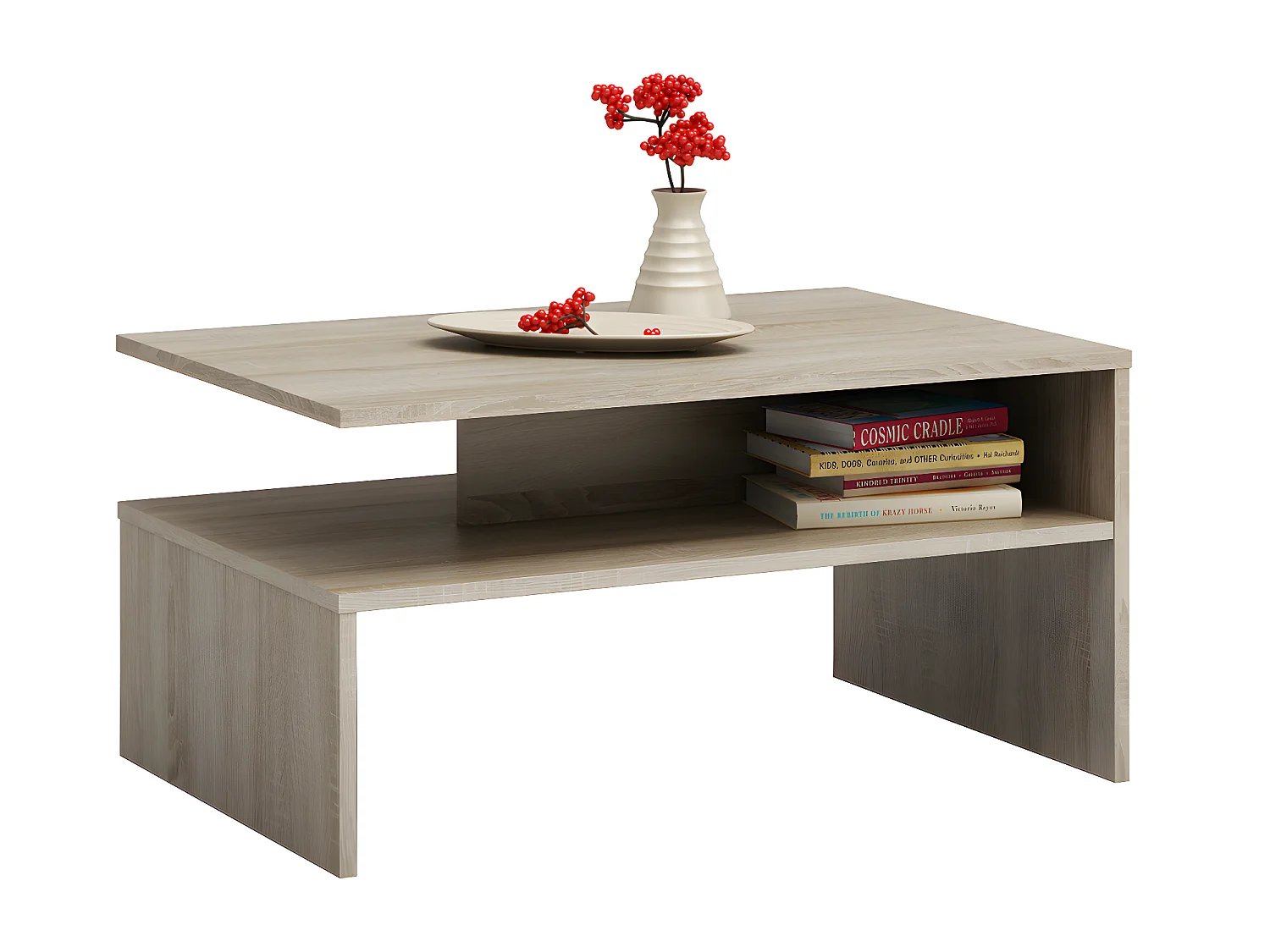 ELARA | Mesa de centro contemporánea 90x60x45 salón/oficina/salón | Mesa de estilo moderno + Nicho de almacenamiento para revistas/mandos a distancia