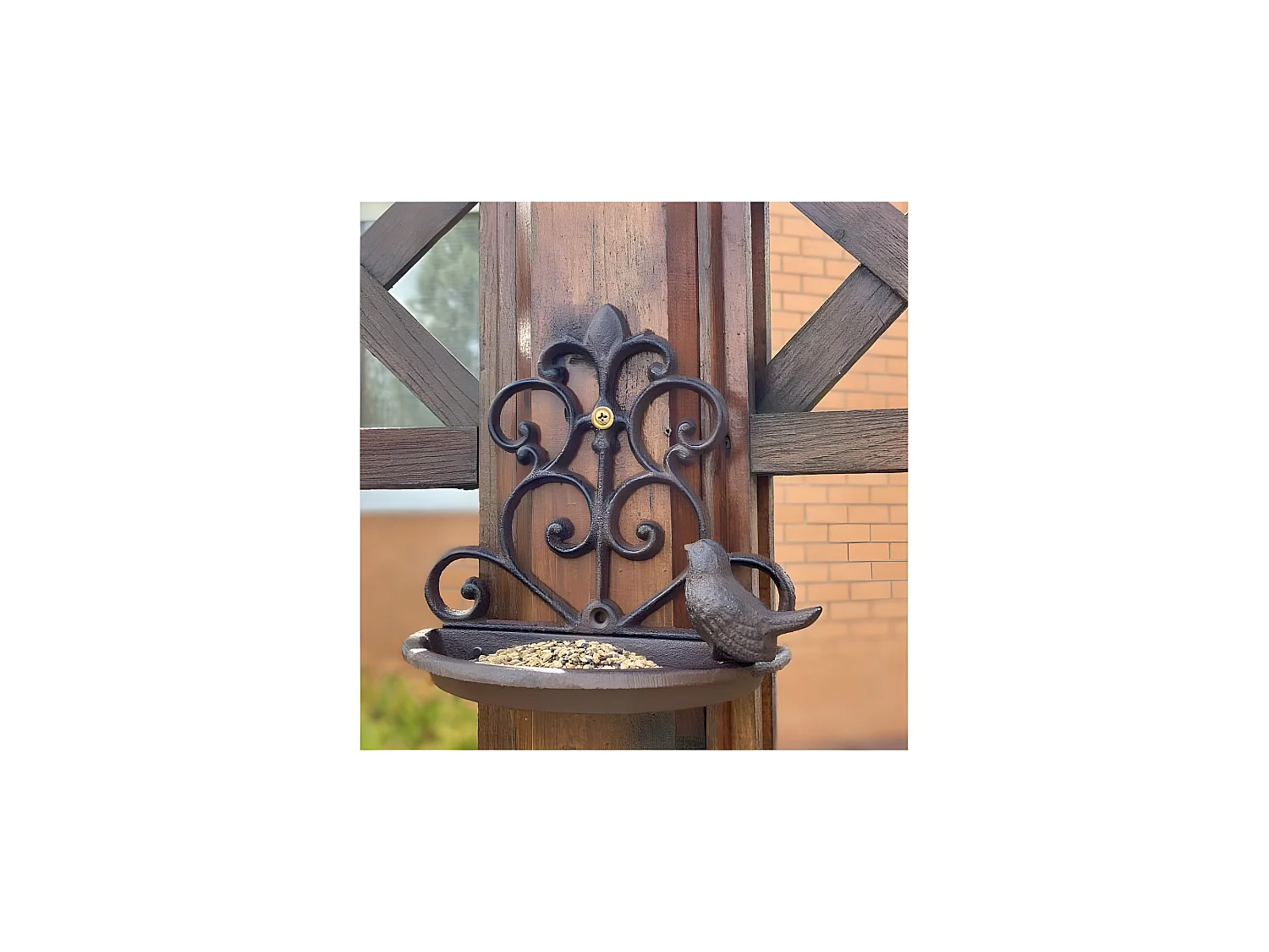 Pastel de semillas para pájaros de pared