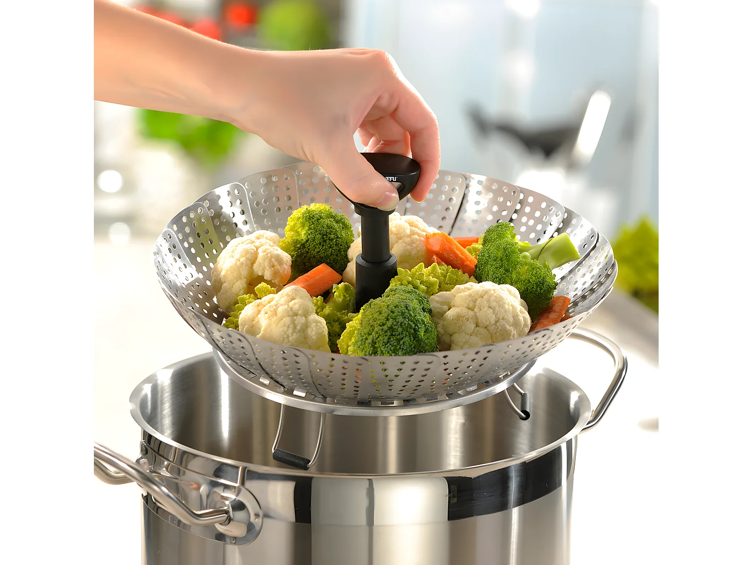 Panier vapeur Vitala