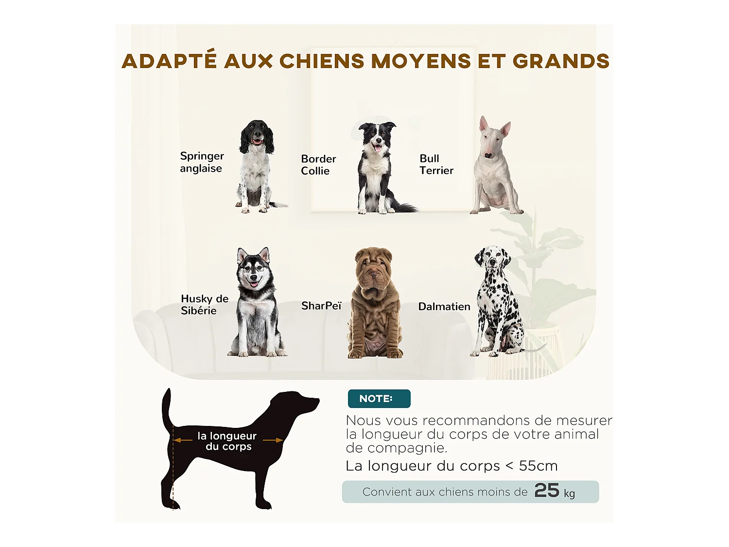 Canapé chien lit pour chien chat design contemporain coquillage dim. 98L x 60l x 35H cm coussin moelleux velours gris