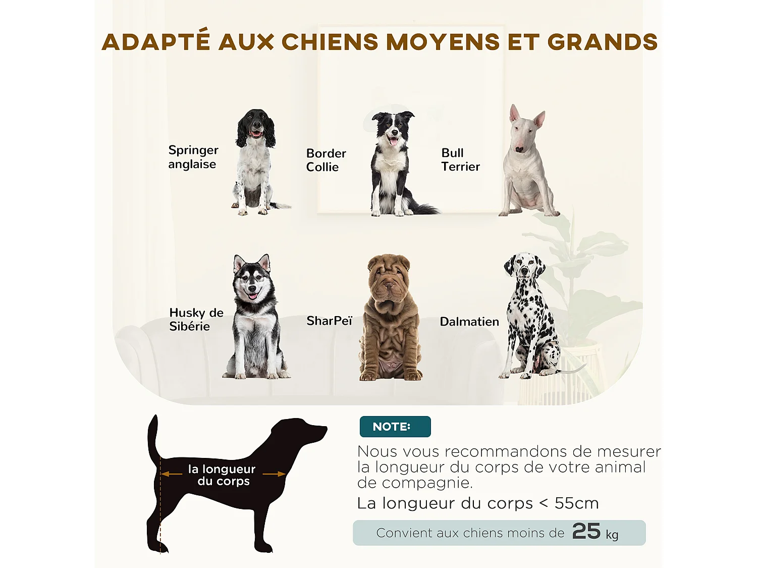 Canapé chien lit pour chien chat design contemporain coquillage dim. 98L x 60l x 35H cm coussin moelleux velours gris