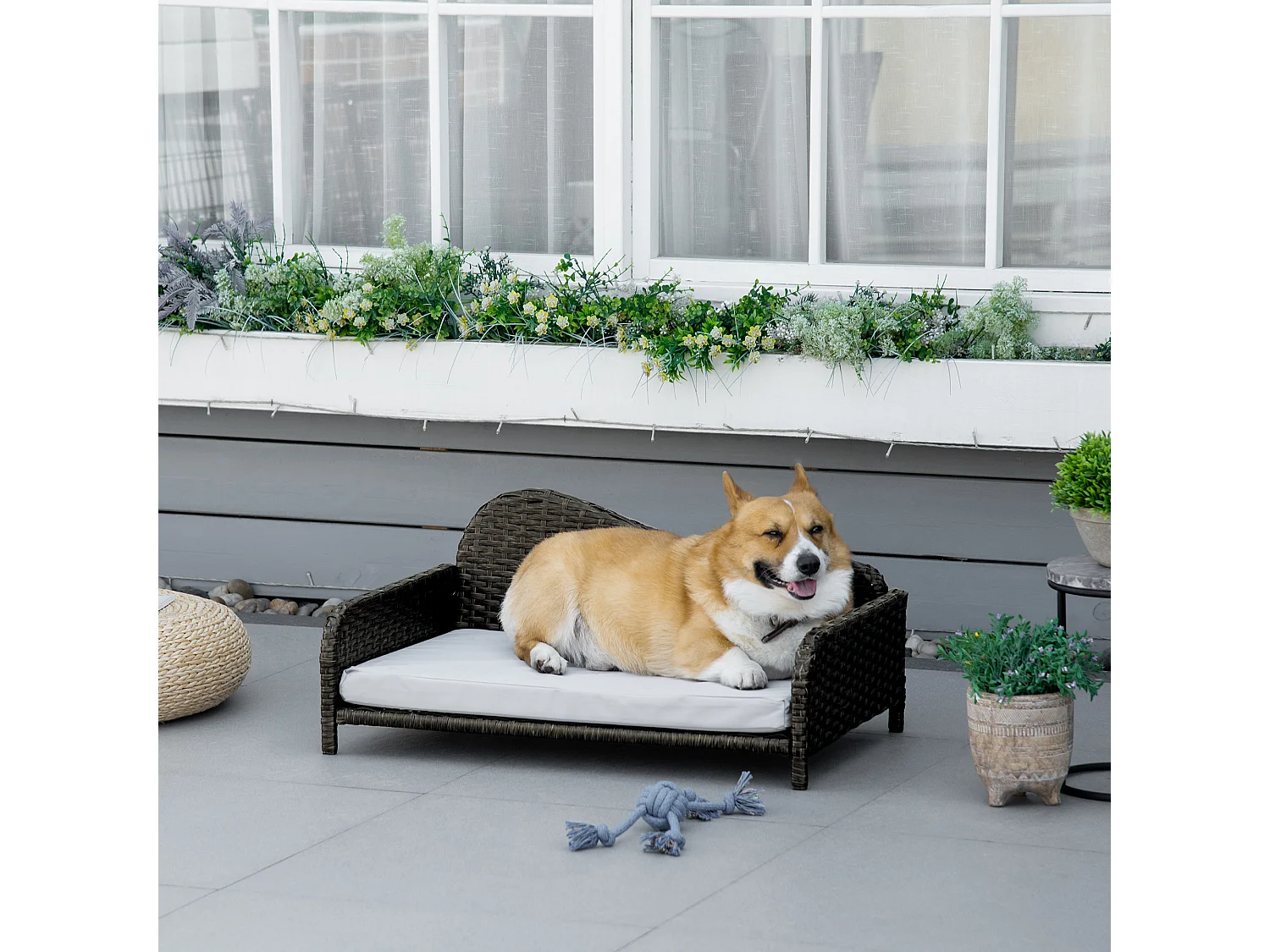 Canapé méridienne chien chat style cosy chic - usage intérieur/extérieur - coussin déhoussable inclus résine tressée gris