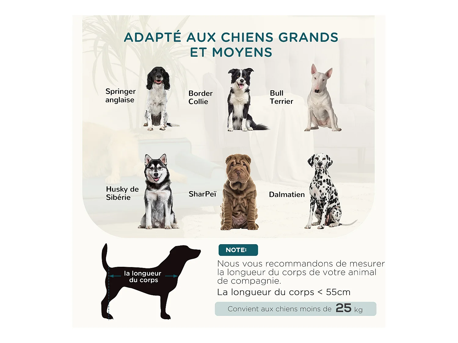 Canapé chien lit pour chien design scandinave coussin moelleux piètement bois dim. 100L x 62l x 32H cm polyester bleu canard