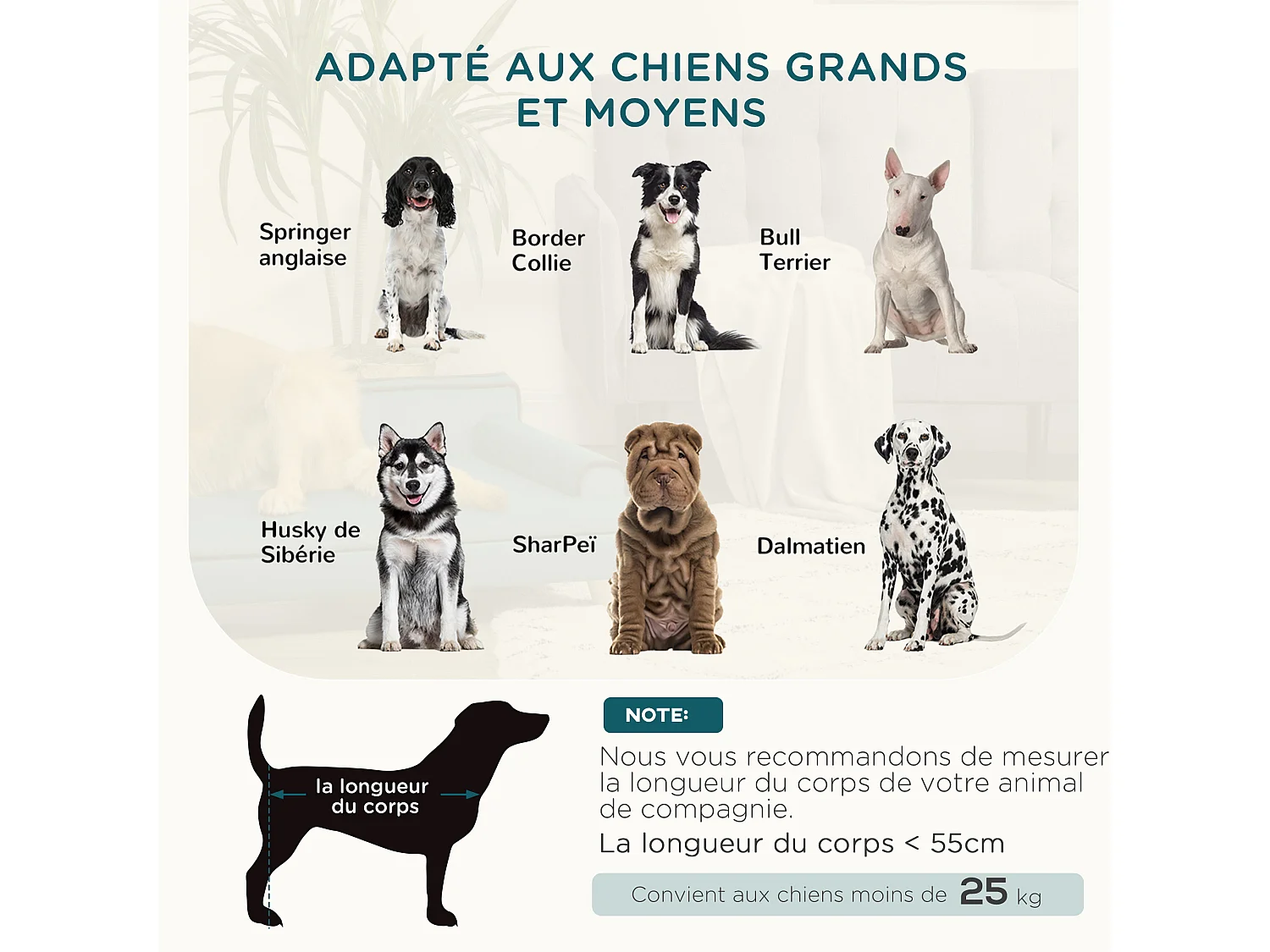 Canapé chien lit pour chien design scandinave coussin moelleux piètement bois dim. 100L x 62l x 32H cm polyester bleu canard