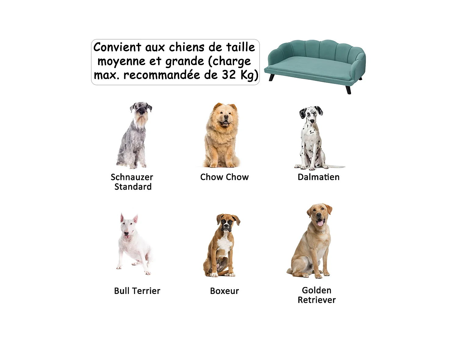 Canapé chien lit pour chien chat design contemporain coquillage dim. 98L x 60l x 35H cm coussin moelleux velours vert