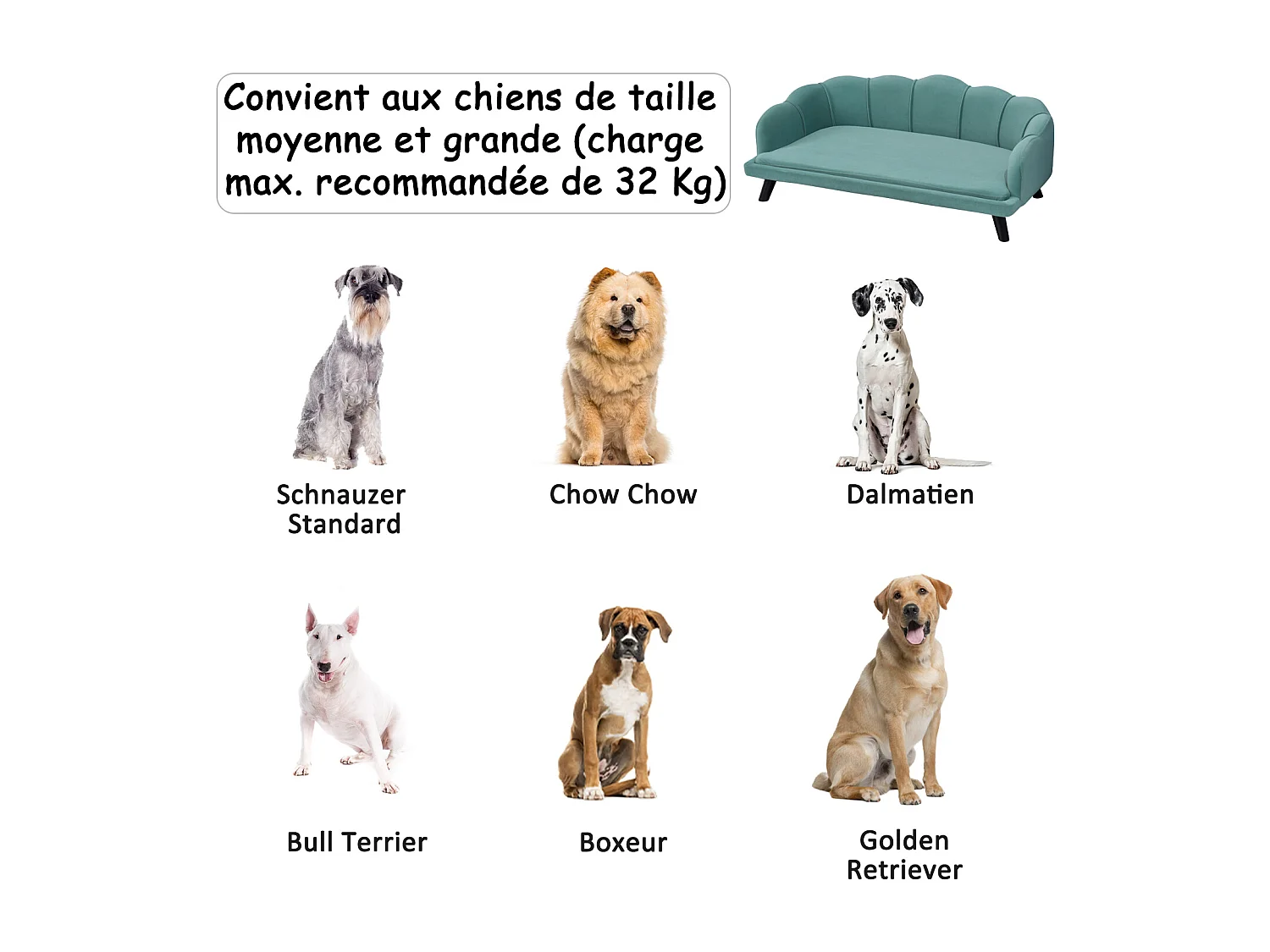 Canapé chien lit pour chien chat design contemporain coquillage dim. 98L x 60l x 35H cm coussin moelleux velours vert