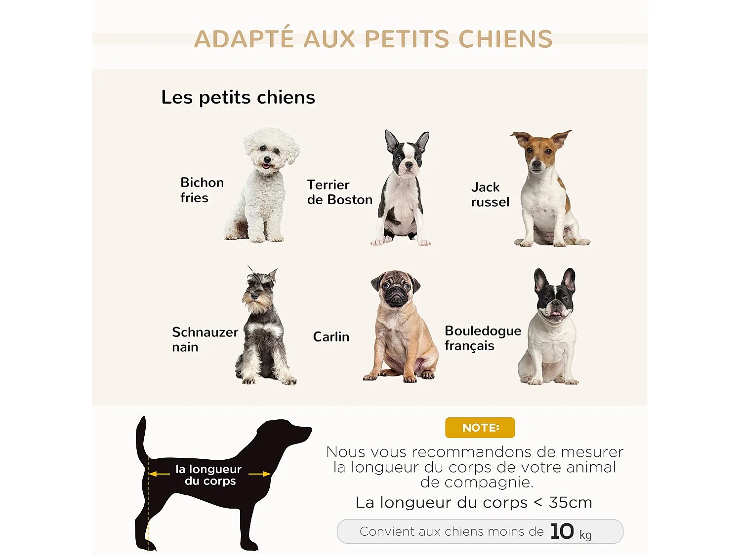 Canapé Chien Chat sur Pied avec Coffre de Rangement Style Moderne Coussin d'assise Amovible Grand Confort 76 x 45 x 41,5 cm Bleu