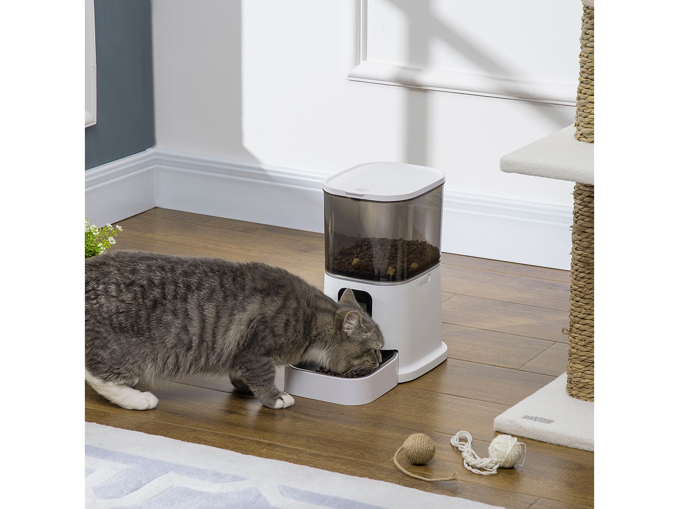 Distributeur Croquettes Automatique 4L WHDPETS Nourriture Avec Gamelle