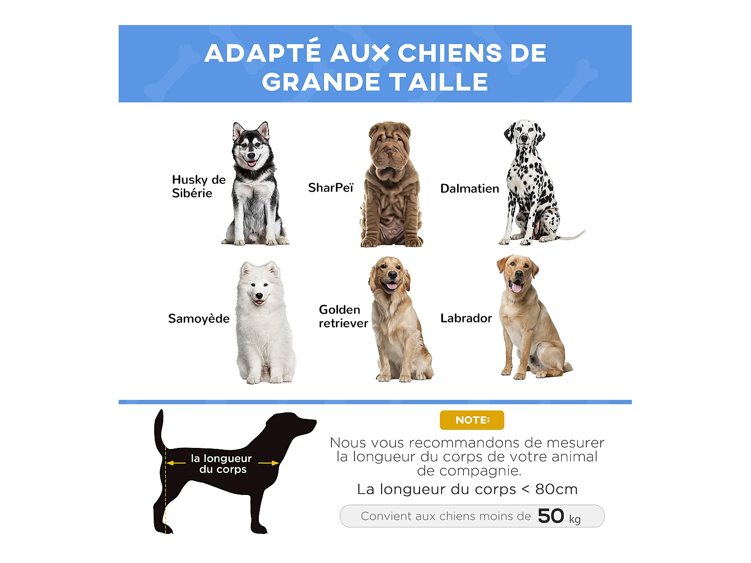 Lit sur pieds XXL pour chien chat lit de camp animal lit surélevé Oxford textilène micro-perforé dim. 122L x 92l x 23H cm bleu