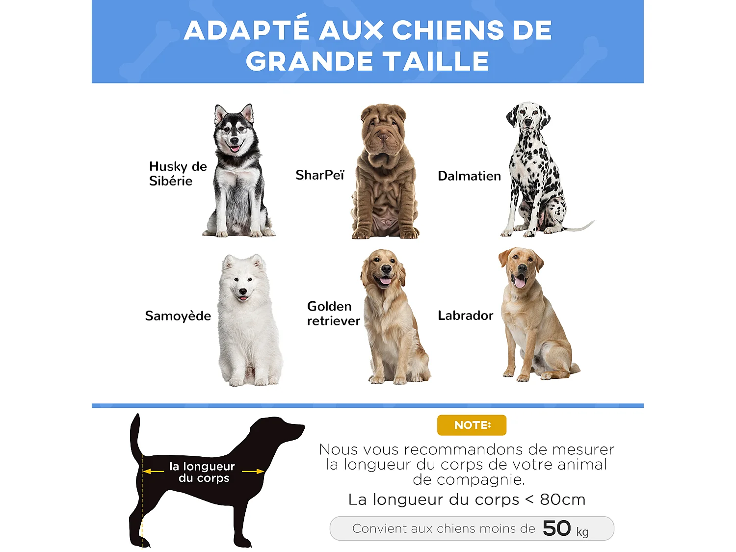 Lit sur pieds XXL pour chien chat lit de camp animal lit surélevé Oxford textilène micro-perforé dim. 122L x 92l x 23H cm bleu