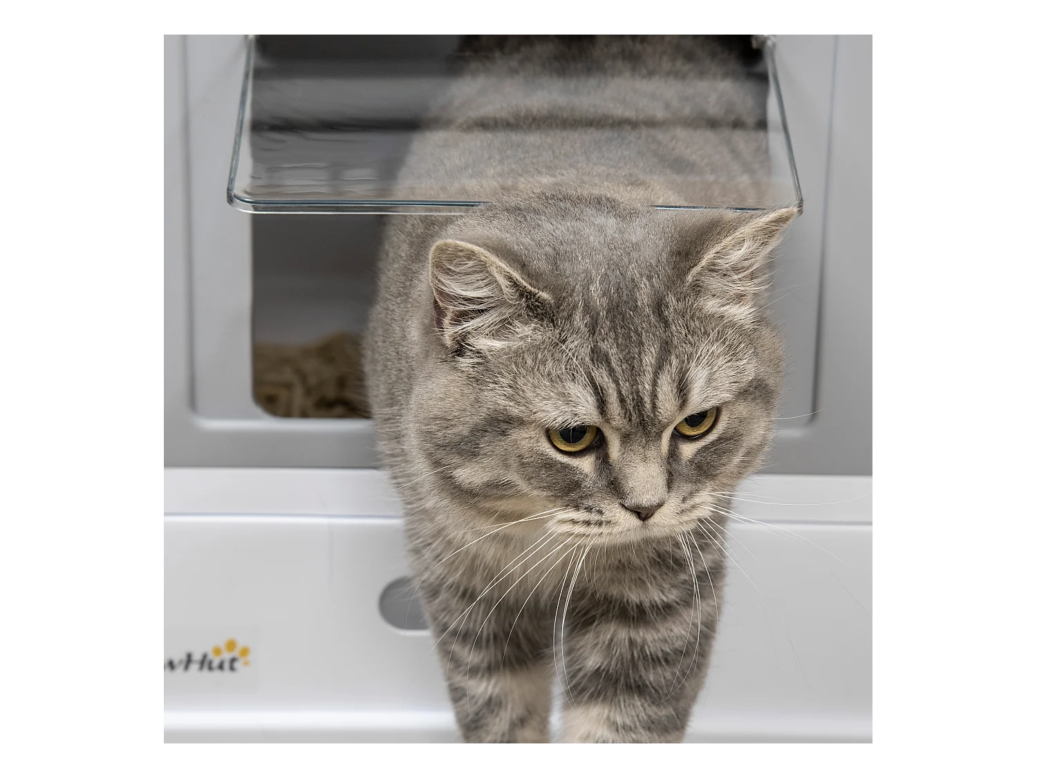 Maison de toilette pliable pour chat - tiroir à litière coulissant, porte battante et trappe transparente, pelle - blanc gris