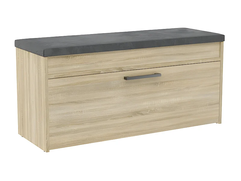 CDF Schuhschrank Parma | Farbe: Eiche Sonoma | Ideal für Diele, Flur, Büro | Schuhaufbewahrung | Bequemer Sitz (Kissen) | Modern | Flügeltür | Lagerung