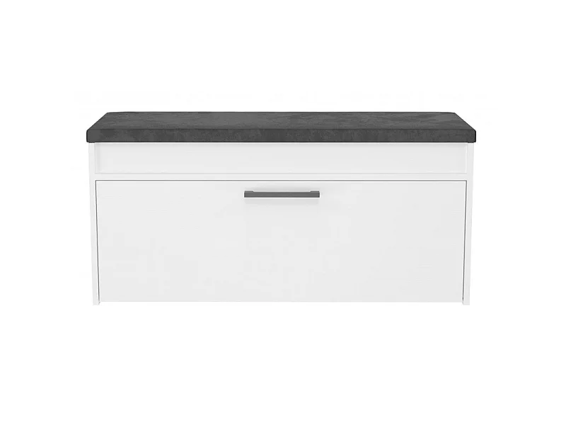 PARMI - Scarpiera da ingresso in stile scandinavo - 100x35x49 - Panca con contenitore