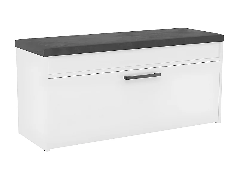 CDF Schuhschrank Parma | Farbe: Weiß | Ideal für Diele, Flur, Büro | Schuhaufbewahrung | Bequemer Sitz (Kissen) | Modern | Flügeltür | Lagerung