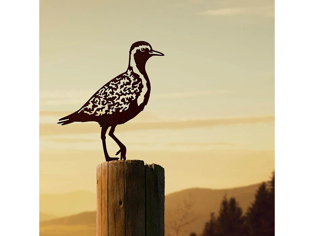 Pluvier doré à planter en acier corten