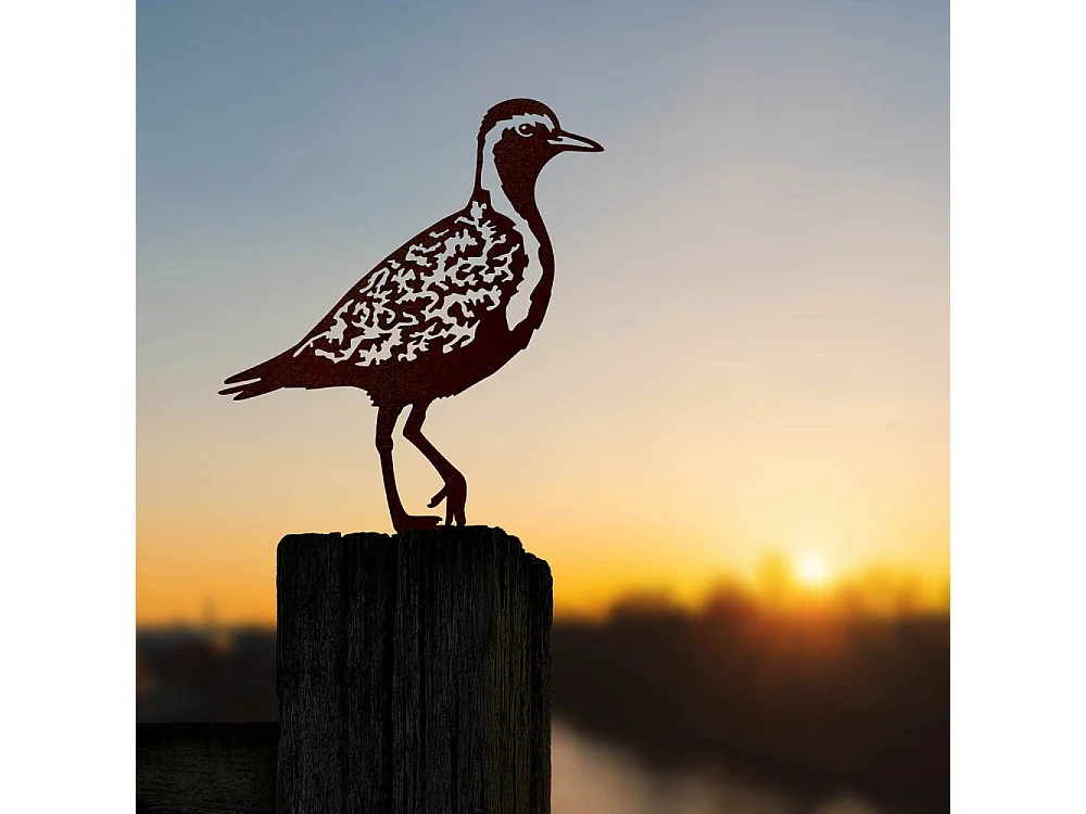 Pluvier doré à planter en acier corten