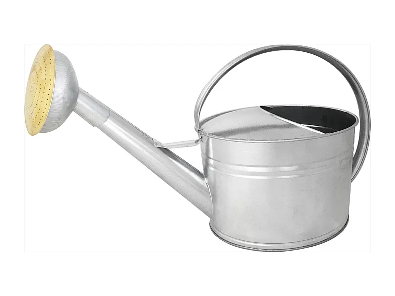 Arrosoir en acier galvanisé avec pomme et grille en laiton 6 litres