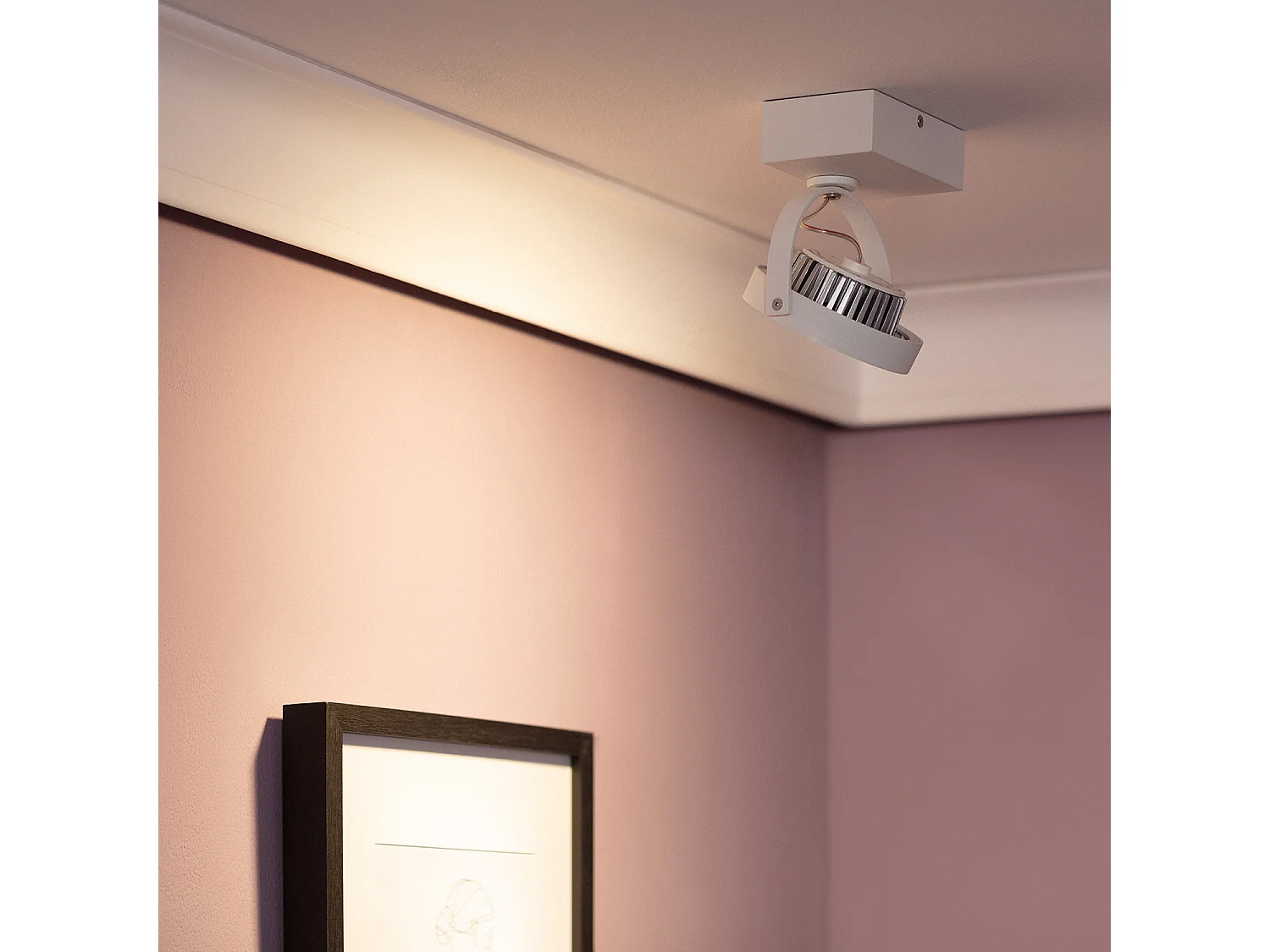 Faretto LED 15W CREE da Superficie Orientabile AR111 Regolabile Bianco 2700K Bianco Caldo