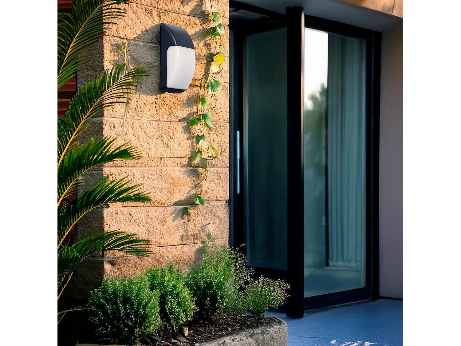 Applique Murale Titus IP65 pour Extérieur Noir