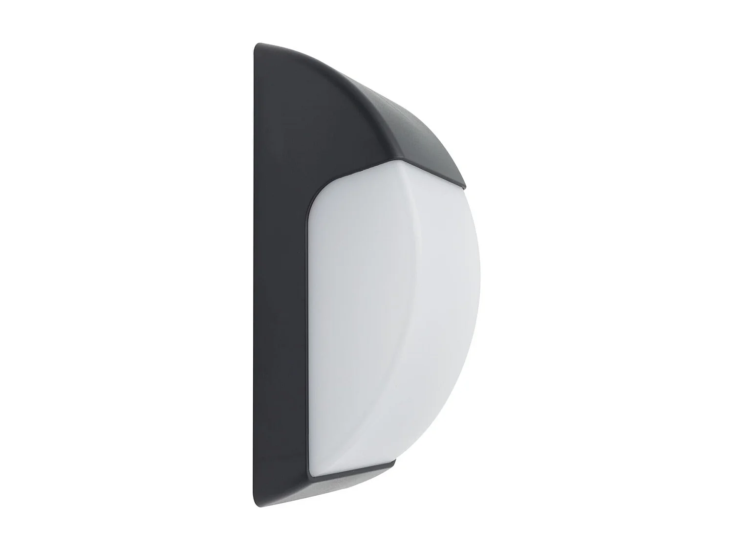 Applique Murale Titus IP65 pour Extérieur Noir