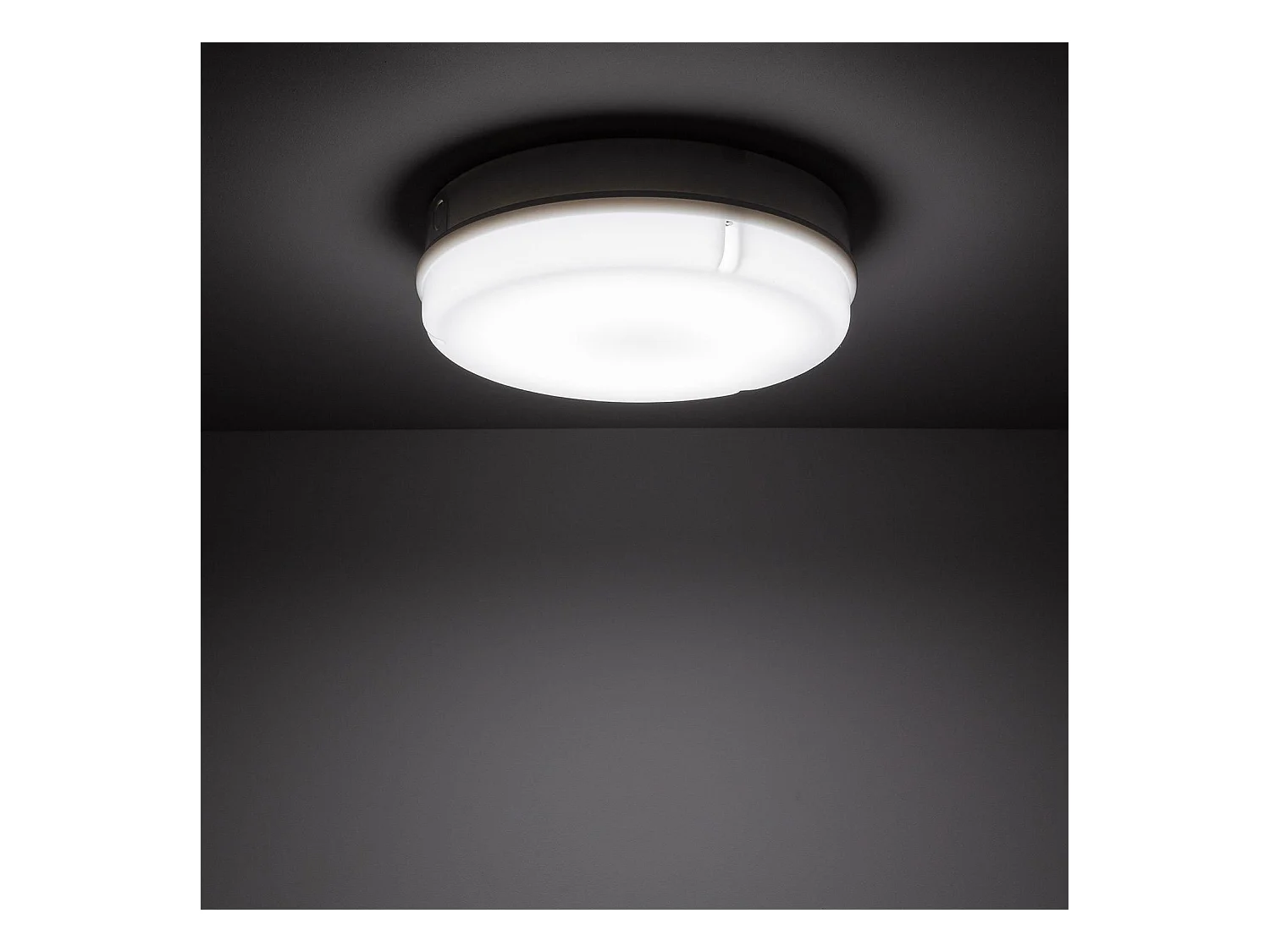 Plafoniera LED 24W Circolare per Esterni Ø285 mm IP65 con Sensore di Movimento PIR e Luce di Emergenza IP65 Hublot 6500K Bianco Freddo