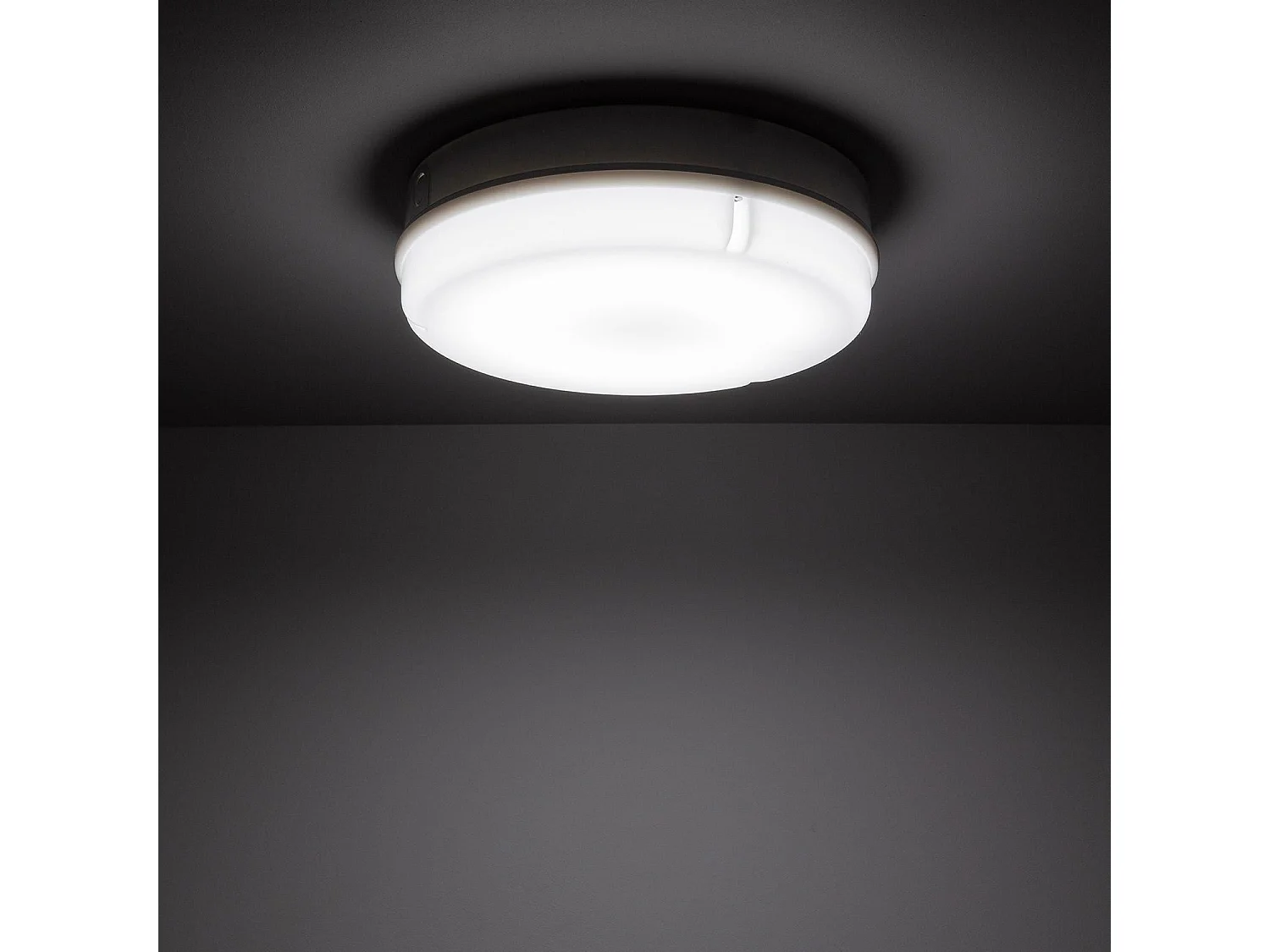 Plafoniera LED 24W Circolare per Esterni Ø285 mm IP65 con Sensore di Movimento PIR e Luce di Emergenza IP65 Hublot 6500K Bianco Freddo