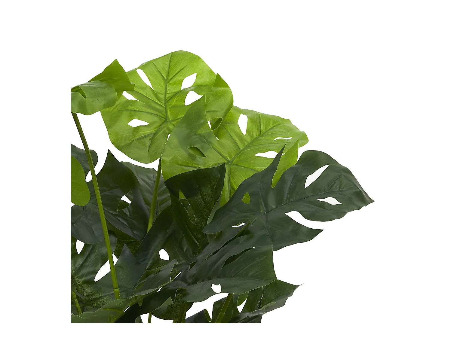 Monstrera Artificiel 90cm Vert