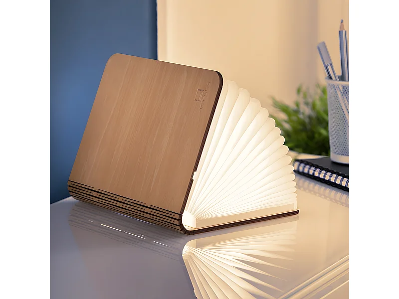 Lumière livre intelligente Gingko Grand Érable