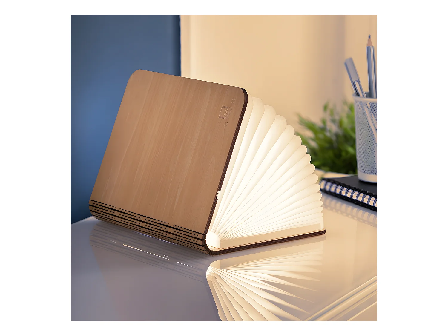 Lumière livre intelligente Gingko Grand Érable