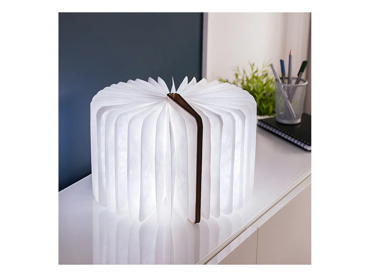 Lumière livre intelligente Gingko Grand Érable