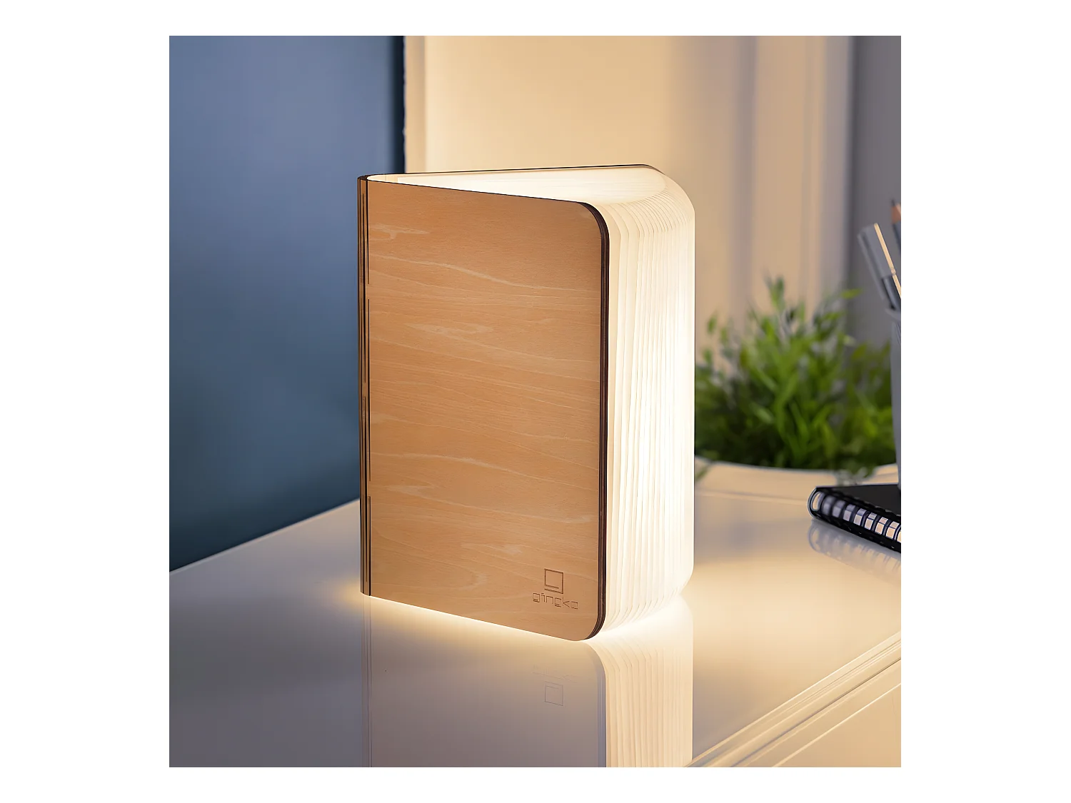 Lumière livre intelligente Gingko Grand Érable